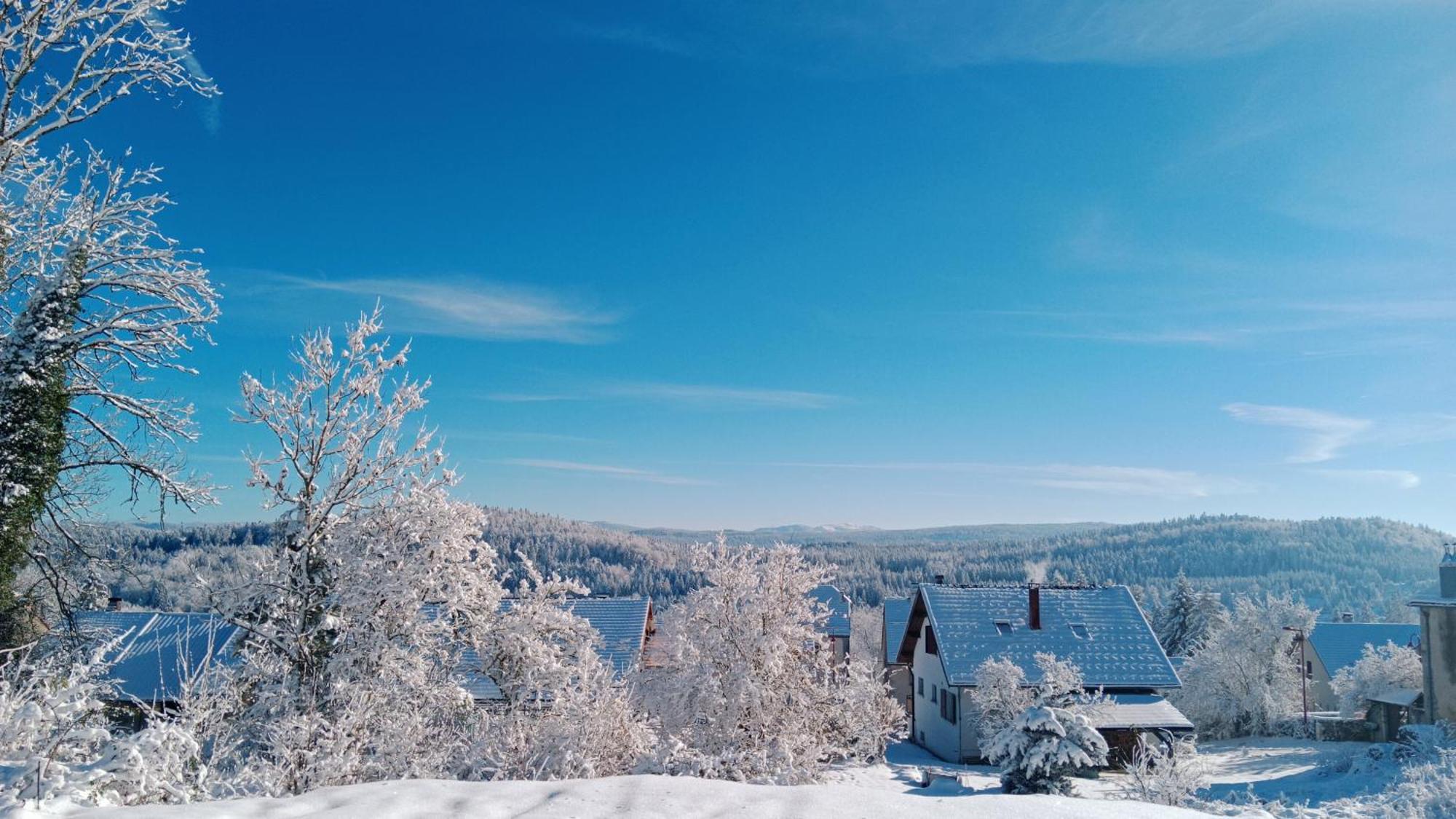Gite Des Roches La Chaux-du-Dombief Exteriér fotografie